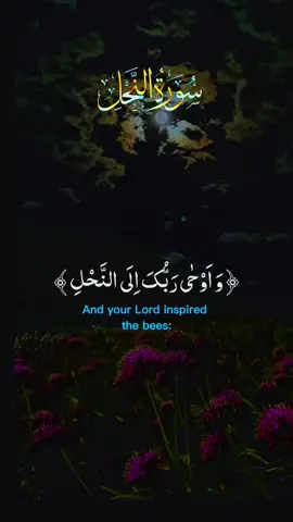 #اللهم_صلی_علی_محمد_وال_محمد🌹 #استغفروالله_العظیم_اتوب_الیه🤲❤️ #یا_رحمان_یا_رحیم_یا_عفو_یا_غفور🤲❤️ #quran_kareem🕋❤️ #قرآن_راحة_نفسیه❤️🕋 