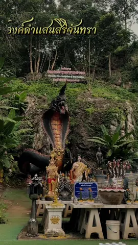 ปู่องค์ดำแสนสิริจันทรา #วัดวังรีคีรีวันวนาราม #ปู่องค์ดําแสนศิริจันทรา #พญานาค #ชลบุรี #fyp 