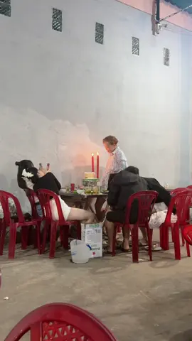 Ta nói khó lắm mới nghĩ ra được như vậy á chớ 💸🕯️