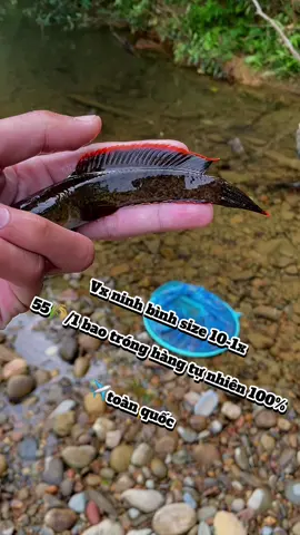 Ngại ngần gì anh em ơi😎😎#binmeaqa #loccanh #vayxanhninhbinh#channa#channalimbata 