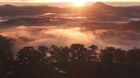 Thành phố này đẹp, nhưng chẳng còn ai để cùng ngắm nữa.#moctrafarm 