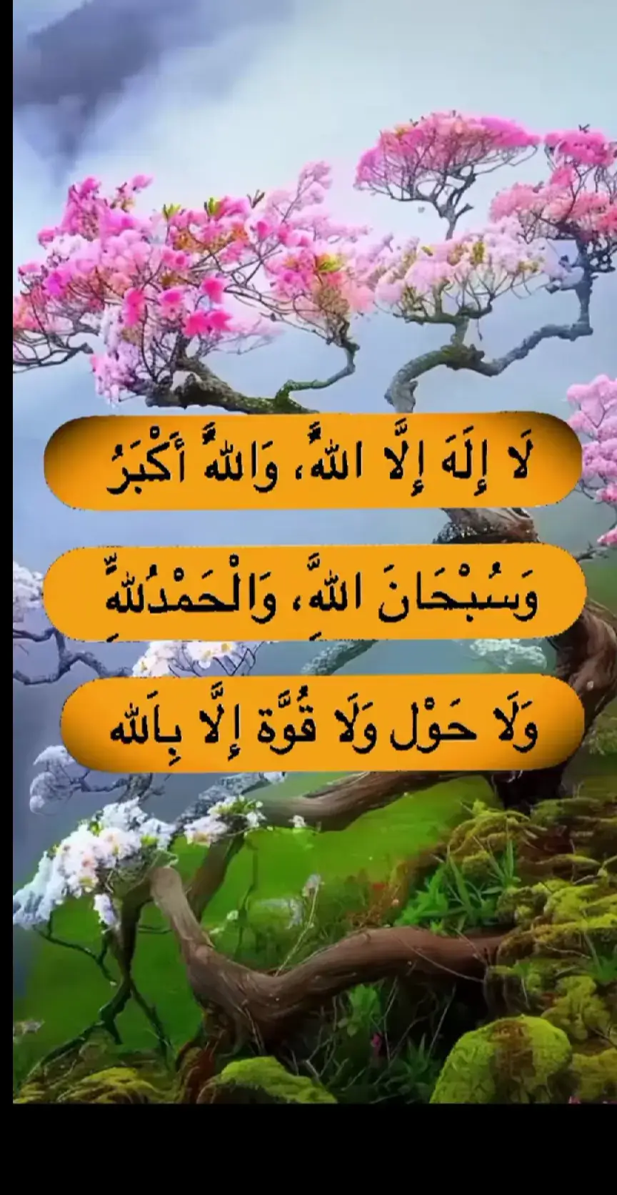 #🤲🤲🤲🕌🕌🕌🕋🕋। 