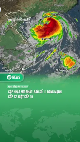 CẬP NHẬT BÃO SỐ 11 #theanh28news #theanh28 #tiktoknews 