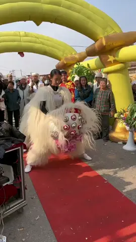 Bái Mẹ #muasututuyet #sutu #muasututrang #sututuyet #trending #xuhuong 