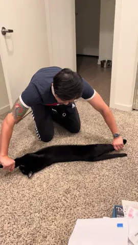 Big stretch #cat 