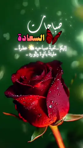#صباحكم_أحلى_صباح🌹🌹 