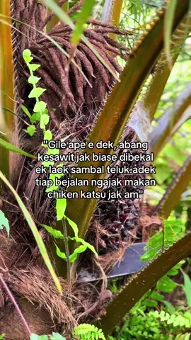 Cecat abis am buah sawit kenak adek #chickenkatsu #fypage #sawit 