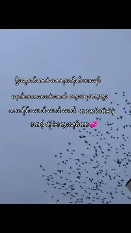 မောင်💕#fpy #fyppppppppppppppppppppppp #foryoupage #views #tiktok 