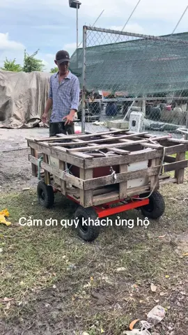 #maivangbaythao #maibonsai 