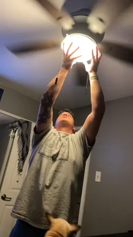 Unlucky Dog #funny #funnytiktok #dogvideos #dog #dogsoftiktok #funnydog #fpy 