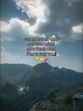 তোমাকে খোদার কাছে এমন ভাবে চাইবো খোদা নিজেই বলবে নিয়ে নে তোর হক..!🥺🤲❤️‍🩹 	 	 	 	 @TikTok Bangladesh @For You House ⍟ @TikTok #foryou #idfreezz🙏🙏 #bdtiktok #foryouplz #AP🐼 