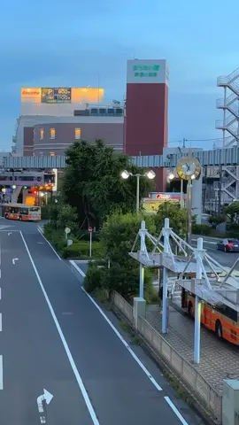 japan + lagu jawa candu ya #japanvibes #japan #lagujawa #fyppppppppppppppppppppppp 