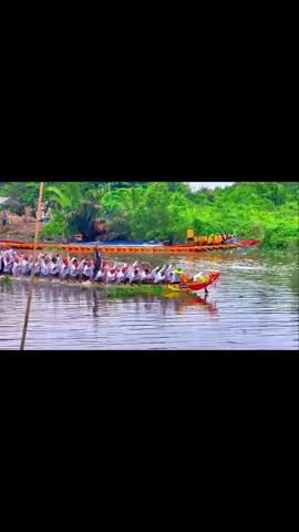 Nhà đơn kim vô địch 2010 🎠#lộmới1 #soctrang83quetui #đuaghengosoctrang 