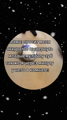 Факт: киты могут петь на расстоянии до 800 километров! 🎶🛳️ Их песни могут путешествовать через океан, связывая этих гигантов в огромных водах. #факты #киты #природа 