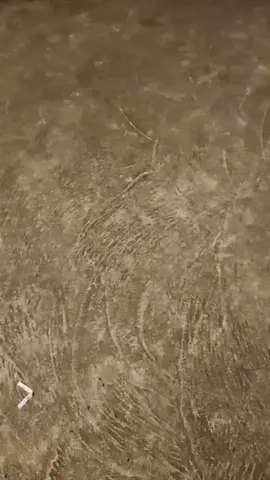 4 Oktober 2025 #vibesmalam #areapabrik #malam #beranda #gacorrr🔥 