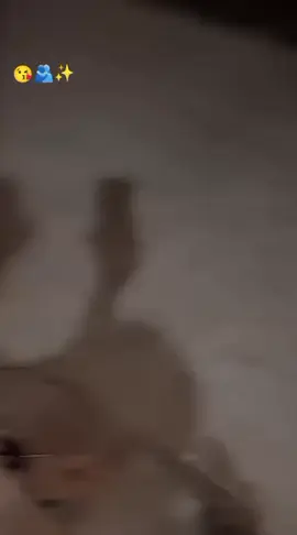 @Rashid 1 5 @Rashid  U  🥹 @⚔️اسد شر⚔️ 