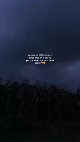 #barak #todovaestarbien 