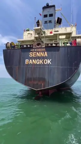 SENNA 🇹🇭        #maritimepilot #vessel #safarer #safetyfirst 