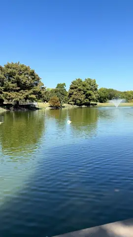 Dios es más que bueno! Amo estos momentos en familia. 🤍#paratiiiiiiiiiiiiiiiiiiiiiiiiiiiiiii #godisgood #fyp #tiktokcristiano #hagamosviralajesus 