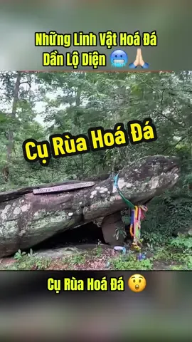Những Linh Vật Hoá Đá Dần Lộ Diện 🥶🙏🏻 #rubi_camping #xuhuong #rắnkhổnglồhóađá #rùahóađá #những_linh_vật_hoá_đá 
