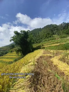 da thế nhé :))#xh 