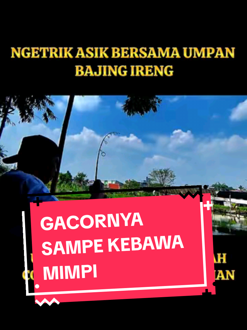KECIL-KECIL CABE RAWIT !! UMPAN IKAN MAS PALING GACOR DARI BAJING IRENG, UMPAN SUPER AMIS PALING COCOK BUAT LOMBA DAN HARIAN  #umpanikanmas #umpanmancing #umpansuperamisbajingireng #rekomendasiumpan #umpansuperamis 