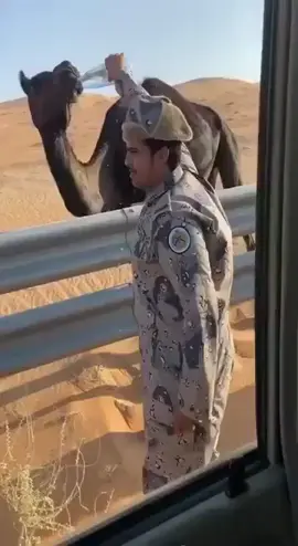 #حرس_الحدود_السعودي #تصميم_فيديوهات🎶🎤🎬 