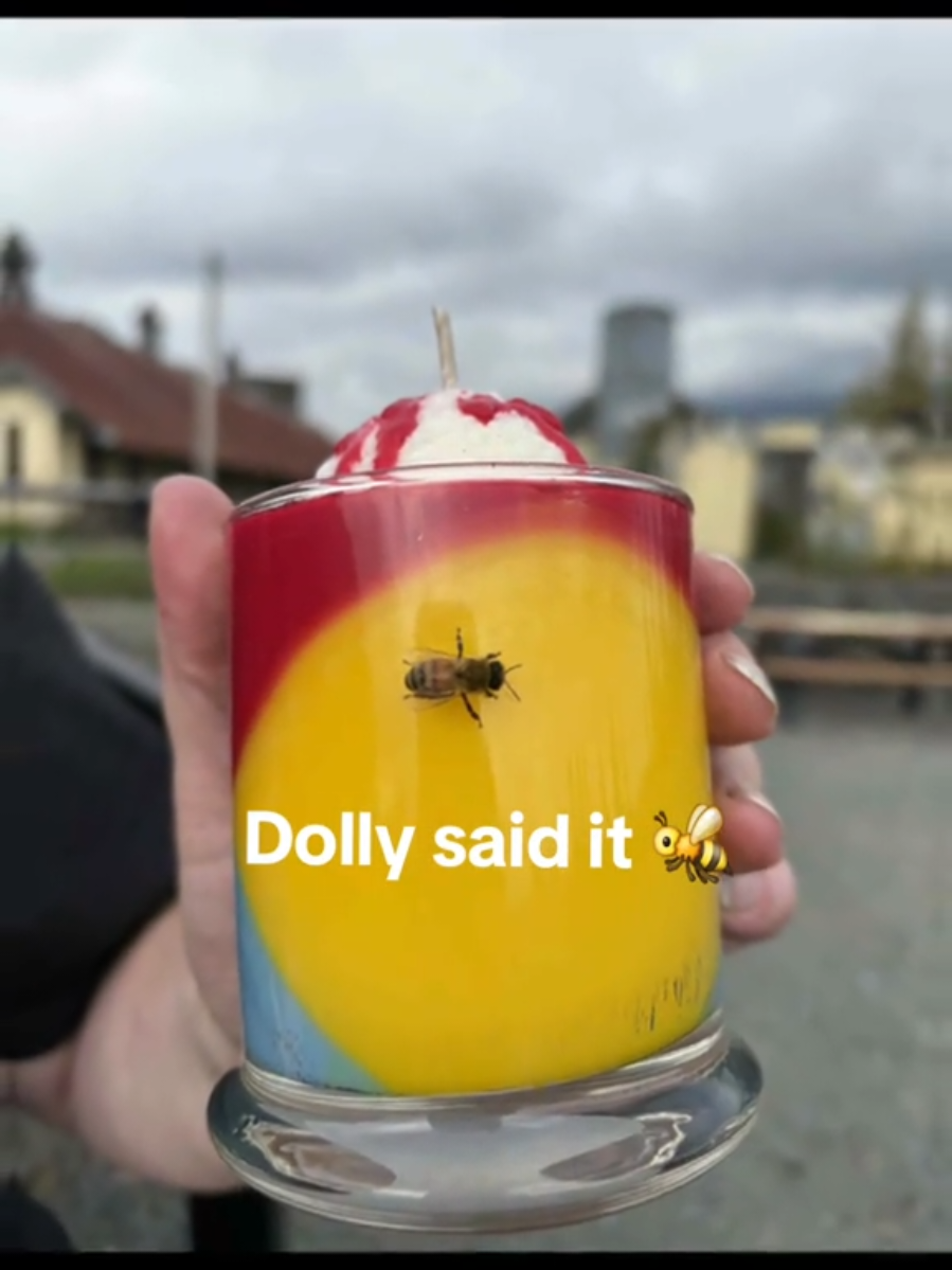 🐝✨ Captain vs. Penny ✨🐝 When we took our Captain vs. Penny candle to the historic Northern State Hospital in Washington, a bee landed right on its bright yellow wax. Moments later, we found a dandelion for him to rest on — a little reminder from nature that sweetness can be found anywhere, even in eerie places. As Dolly Parton once said, “You’ll never know how sweet the honey is if you’re too scared of the bee.” 🍯 That’s exactly what this candle embodies — bold, fearless, and unforgettable. 🕯️ Captain vs. Penny – Peach Cotton Candy Scent – a clash of icons wrapped in vibrant color and energy so magnetic, even the bees are drawn in. ✨ Find the magic in the strange, the light in the dark, and the sweetness in the unexpected. #HauntedMagic #DarkAndMagical  #SpookySeason #horrortok  #haunted 