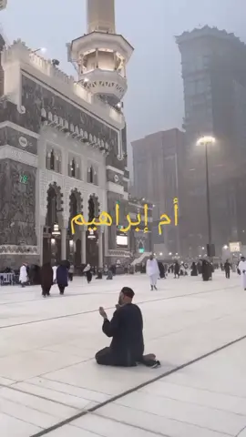 أم إبراهيم دعاء  #creatorsearchinsights أم إبراهيم  #دعاء_مستجاب  #دعاء  #ترند50مليون60مليون  #باتع 