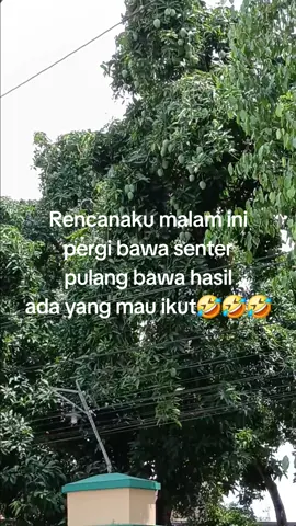 ada yang mau ikut#fypppp #hiburan #lewatberandafyp 