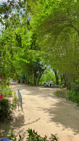 Buoi sang binh yen 😍😍😍#xuhuong #vairal #canhdep #canhchill #canhchillvungque🌾 