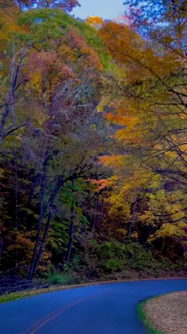 #blueridgemountains #blueridgeparkway #fall2024🍁🍂🎃 #travel #roadtrip @North Carolina 