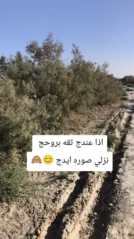 #الشعب_الصيني_ماله_حل😂😂 #الشعب_الصيني_ماله_حل😂😂 