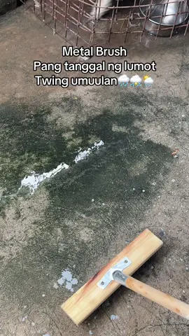 Perfect na panlinis sa mga naglulumot na  wall o sahig. #brush #metalbrush #steelwirebrush #scrub #scrubbing 
