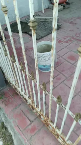 #jajaja #viral #reynosa #tamaulipas #paqueteria el perro. fantasma 
