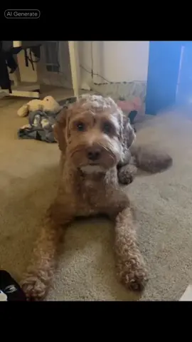 Why does he have hands 😭#CapCut #fyp #pets #aipet #free 