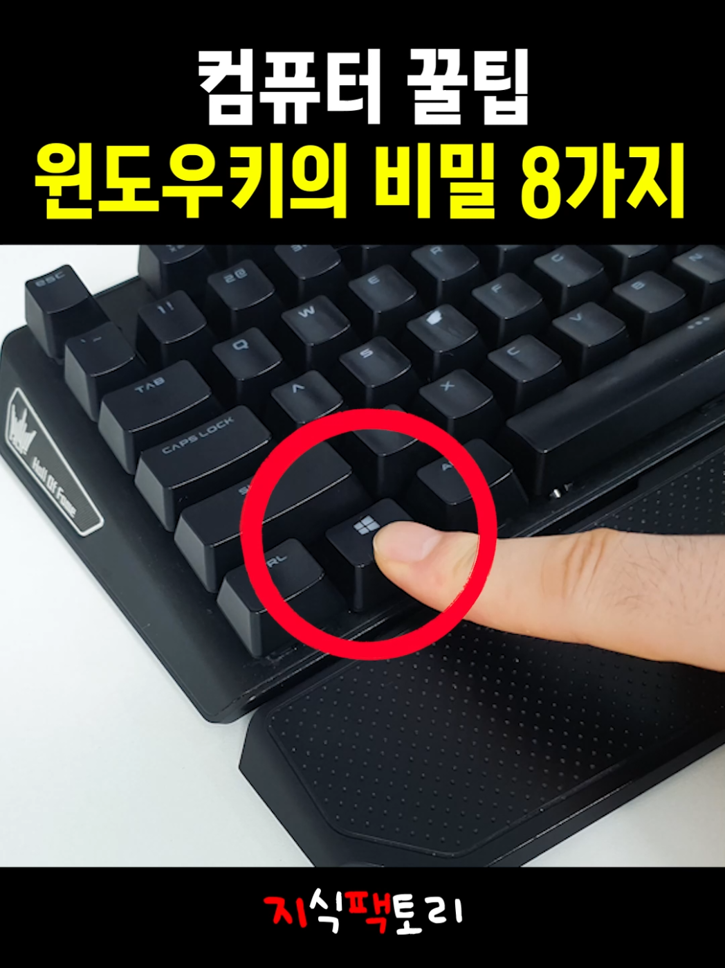 알아두면 진짜 유용한 윈도우키 단축키 8가지를 빠르게 정리했습니다 #윈도우키 #윈도우단축키 #컴퓨터꿀팁 