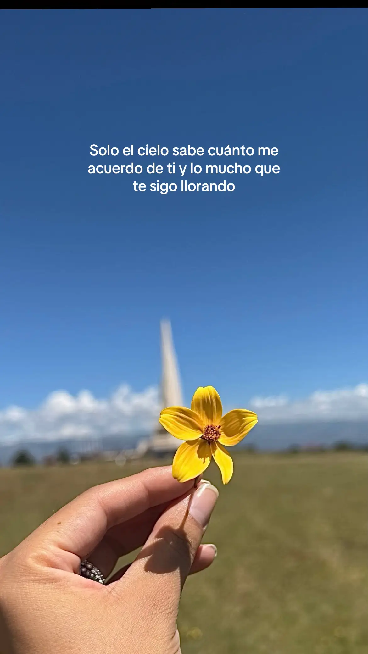 Donde estés un día iré a visitarte, solo guárdame un besito más ❤️‍🩹  #jesseyjoy #fyp #unbesitomas 