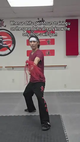 The only move you'll ever need  #kungfu  #real #brainrot #fyp #hanfu 