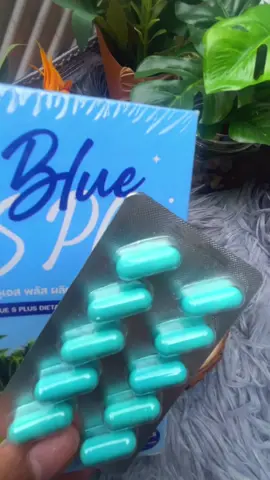 #คลิปนี้ต้องฟีด #บลูเอสพลัส #บลูเอสเม็ดฟ้า #bluesplus #แต้วศรีมาแล้วจ้า 