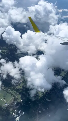 CebuPac✈️ Window Seat 5J 618 35A Bohol-Manila🍃🌊  #cebupacific #windowseat #fyp #travel #fyppppppppppppppppppppppp 