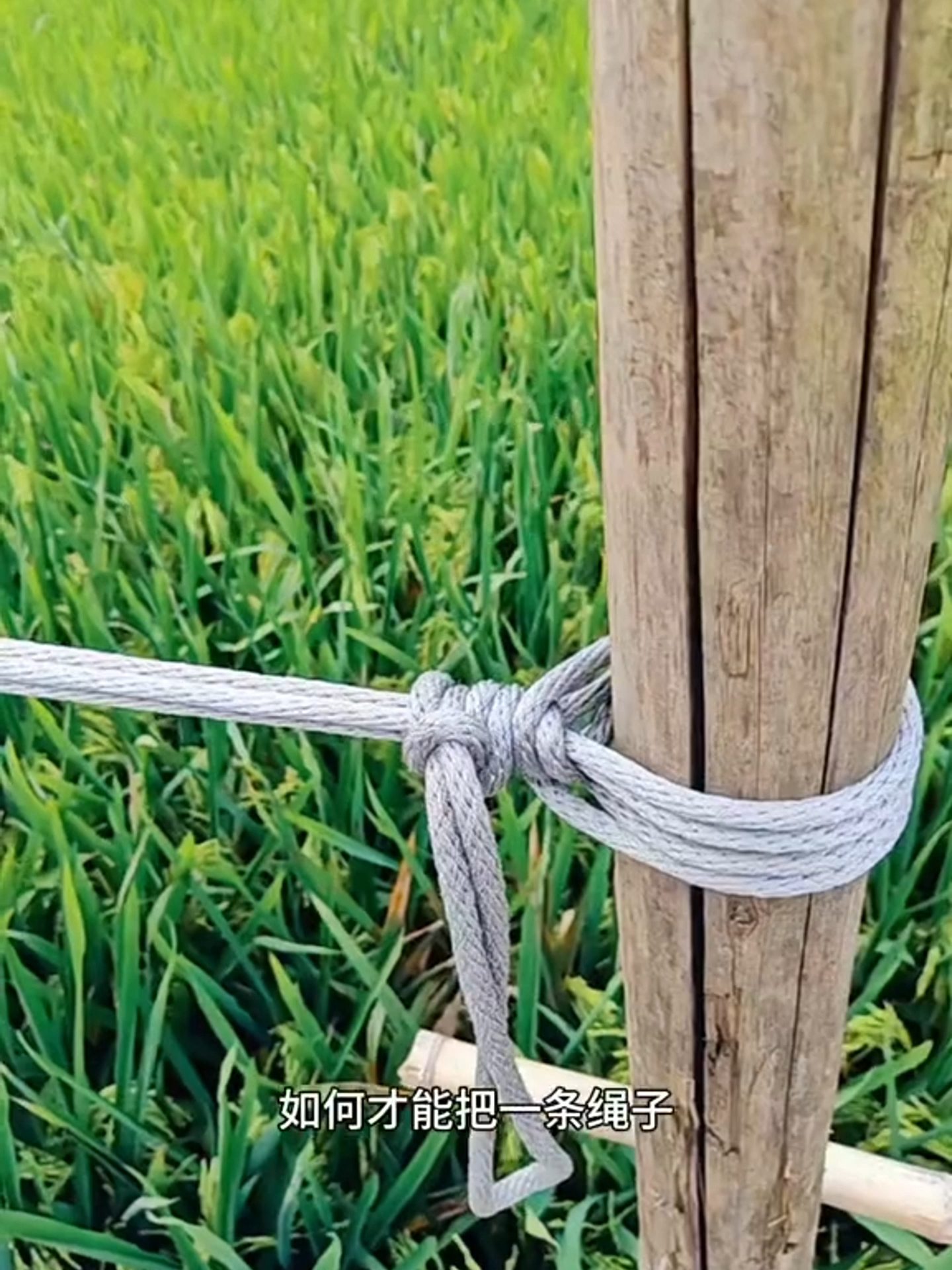 Mẹo Buộc Dây Hữu Ích #survivalskills #kynangsinhton