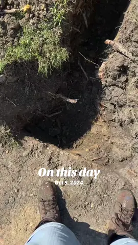 #onthisday 