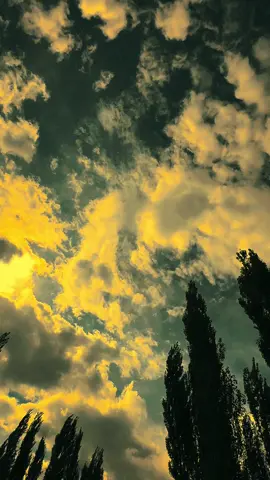 کون کہتا ہے کہ وقت تیزی سے گزرتا ہے کبھی کسی کا انتظار کر کے تو دیکھو