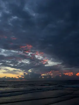 giờ thì đã quá trễ roi..