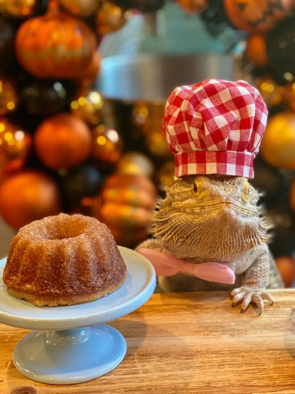 If fall had a flavor, this would be it. A soft, buttery cake infused with fresh apple cider, warm cinnamon, and nutmeg—like the best orchard donut you’ve ever had, but in sliceable form. The top gets brushed with melted butter and showered in cinnamon sugar, giving every bite that perfect crunch-meets-fluff contrast. It’s the kind of cake that makes your kitchen smell like a cider mill and somehow feels nostalgic even if you’ve never made it before. Serve it warm with a drizzle of caramel or a scoop of vanilla ice cream (because balance). Or sneak a piece cold with your morning coffee while pretending it’s breakfast—no judgment here. 🍰🍏 It’s simple, cozy, and tastes like everything good about fall: orchard weekends, crisp mornings, and that first sip of hot cider when the leaves start to turn. #AppleCiderDonutCake #FallBaking #CozyRecipes #AppleSeason #CiderCake