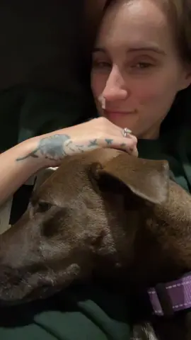 #Love #adore #cute #dogtok #puppytok 