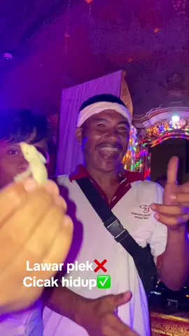 Kasal ne mabuk bingung cg ngaliang cicak 