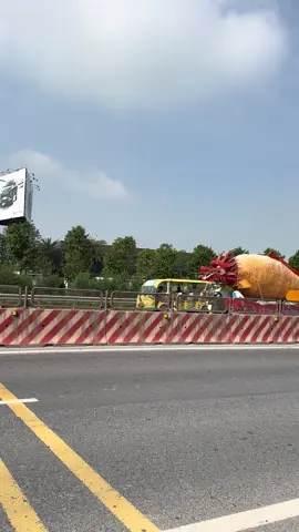 Phát hiện Cá chép hoá rồng 🎏 🐉 ở Ninh Bình cực ngầu  đón trung thu 2025 🙂‍↔️