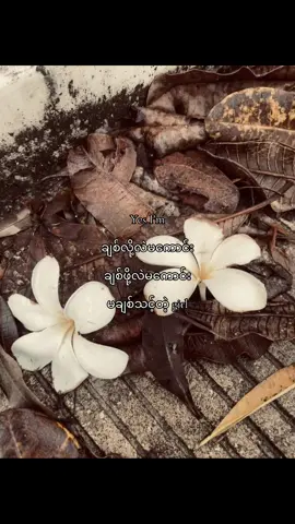 #foryou #tiktok #tiktokindi #foryoupage #views @TikTok @TikTok Trends 